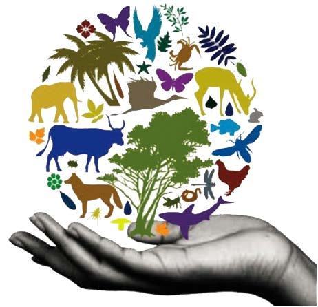 Biodiversity is in our hands