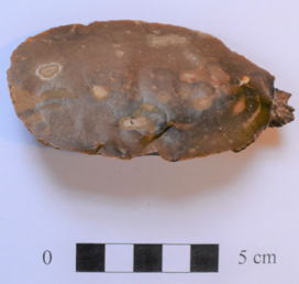 Stone Age flint blade found a Newby.