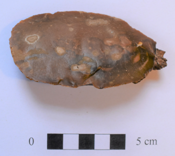 Stone Age flint blade found a Newby.