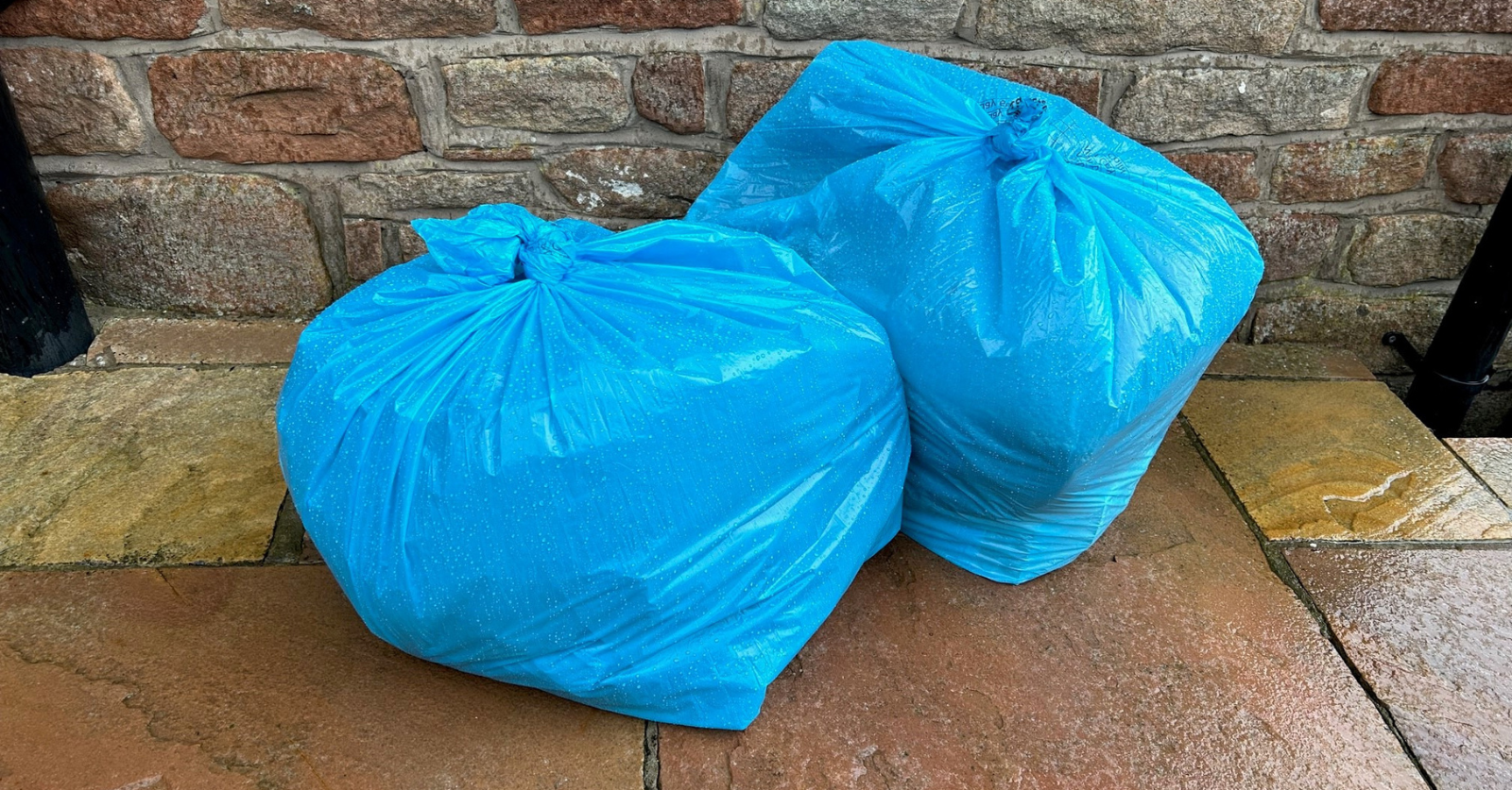 Two blue bin bags